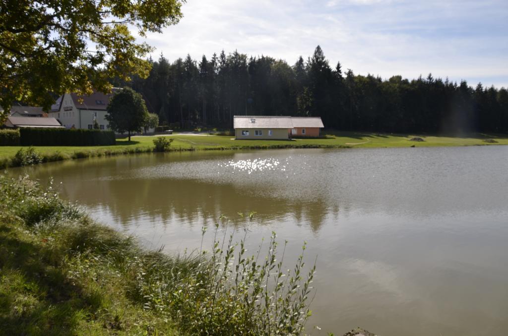 Pension Zum Grunen Wald Hotel Фойхтванген Екстериор снимка